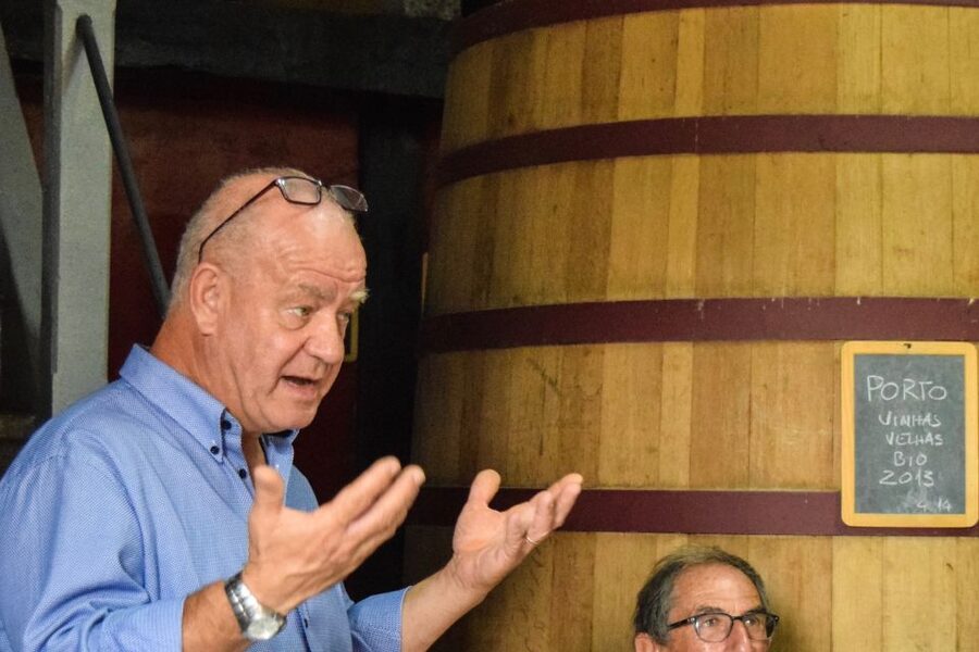 Douro Valley: Premium Port Tasting Winery Tour & River Views - The old lagares and foot treading