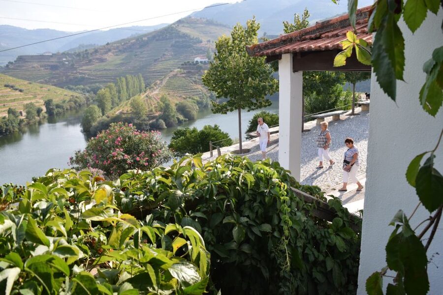 Douro Valley: Premium Port Tasting Winery Tour & River Views - Arriving in Folgosa between Régua and Pinhão