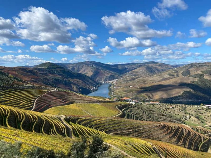 DOURO VALLEY: Premium Wine Tour, Winery Lunch & Private Boat - Lunch at a family farm in the Douro