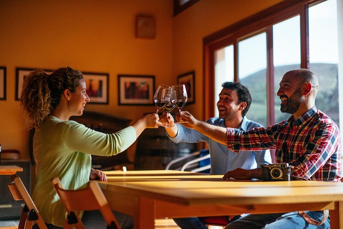 Douro Valley Private Day Trip including Boat Ride & Wine Tasting - Quinta do Infantado and the wine tasting