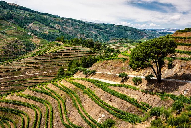 Douro Valley Private Day Trip including Boat Ride & Wine Tasting - Is the $325.32 price good value?