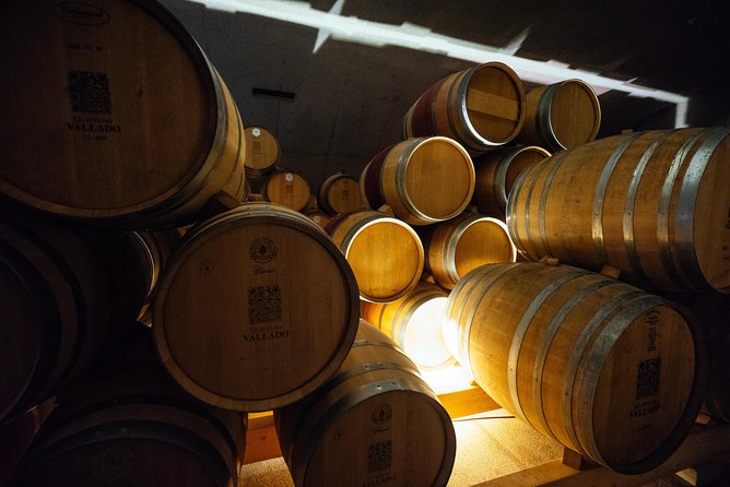Douro Valley Private Day Trip including Boat Ride & Wine Tasting - Who should book this Douro Valley day?