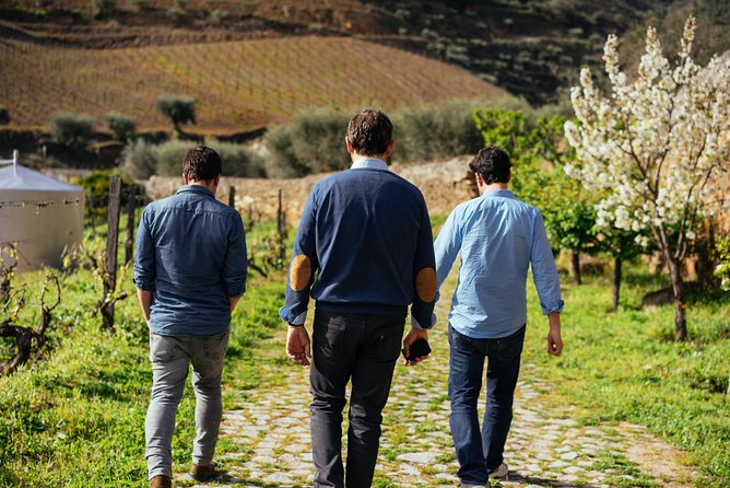 Douro Valley Private Day Trip including Boat Ride & Wine Tasting - A one-hour cruise on the Douro River