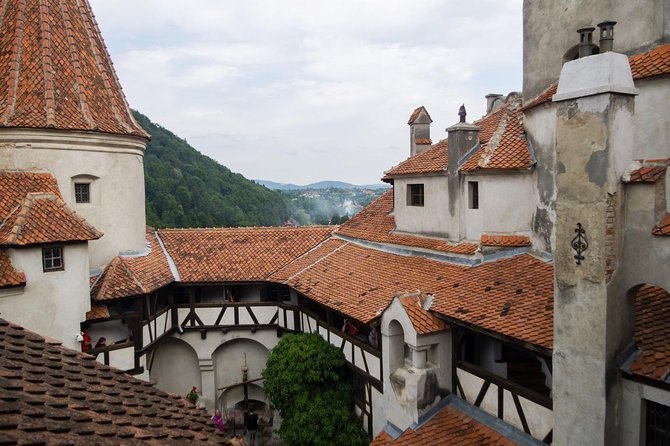 Dracula and Peles Castles Premium Tour with Hotel pick-up - Peles Castle and the royal interiors
