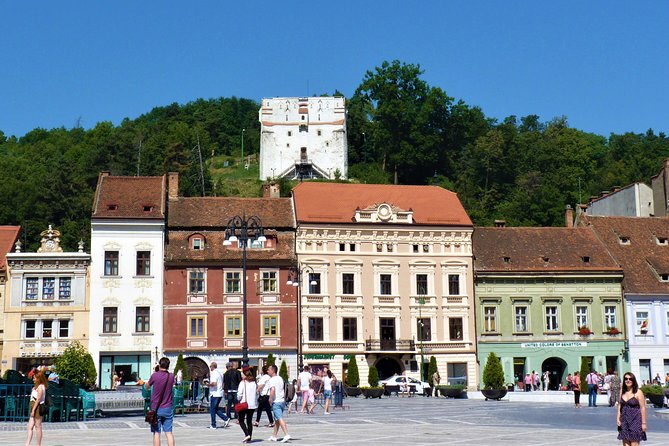 Dracula Castle, Peles and Transylvania, Premium Private Tour - What the $252.99 price means