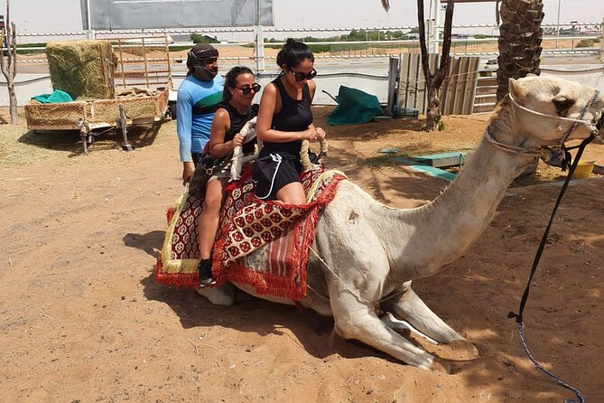 Dubai: All Inclusive Desert Safari with ATV, Camel, Horse ride, Vip & more - Who will enjoy this desert safari most?