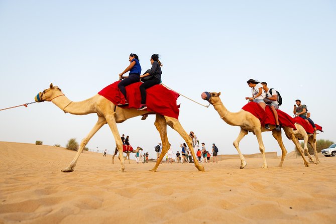 Dubai Combo:City Tour and Premium Desert Safari with all Activities - What makes this Dubai combo worth considering