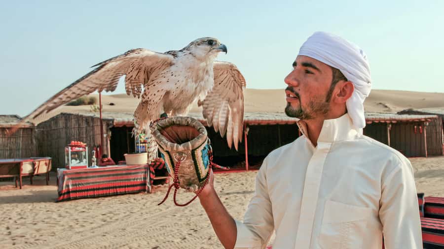 Dubai Desert Safari - Premium BBQ Dinner, Camel Ride & Shows - The high-dune photo stop and sandboarding