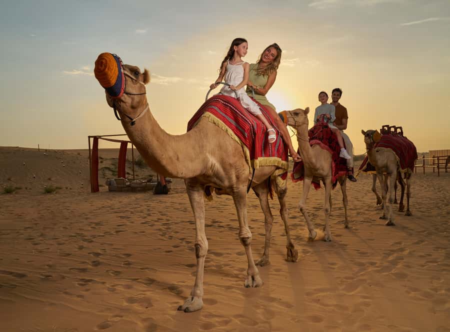 Dubai: Desert Safari, Quad Bike & Premium Camp Experience - Red-dune driving and the first desert stops