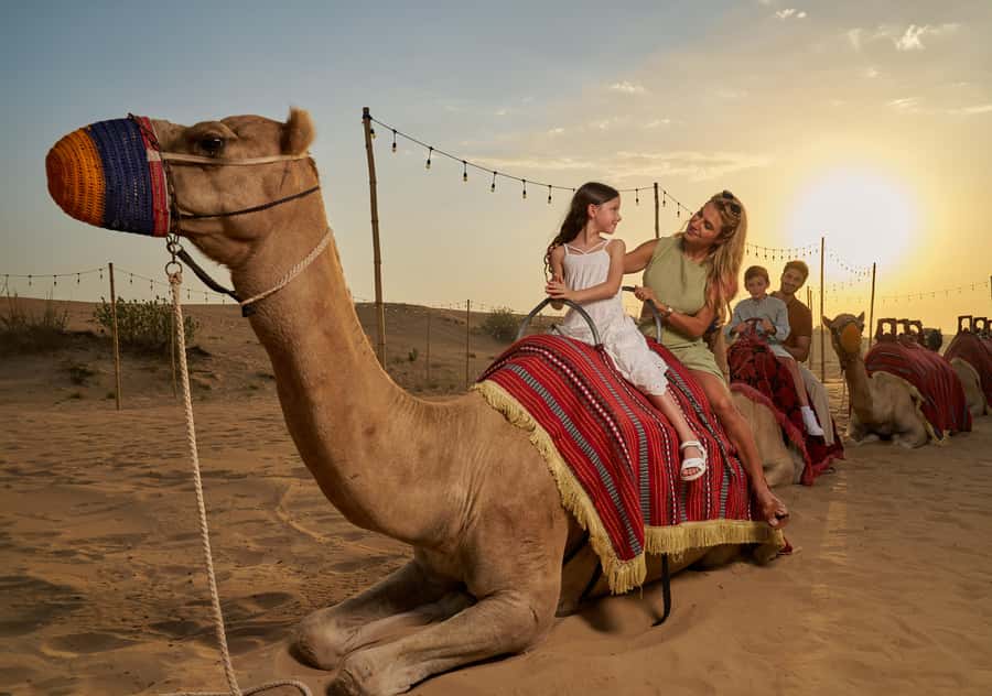 Dubai: Exclusive VIP Desert Safari Dinner with Live Show - The evening begins with a private 4x4 pickup