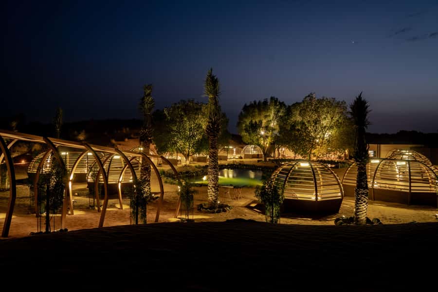 Dubai: Luxury Safari with Michelin-Curated 5-Course Dinner - A calmer way to see the Dubai desert