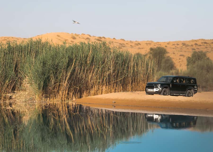 Dubai: Luxury Safari with Michelin-Curated 5-Course Dinner - The Land Rover Defender nature drive