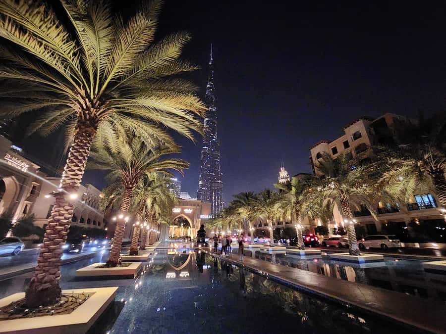 Dubai: Premium Half-Day Dubai Highlights Tour small group - Is $44 good value?