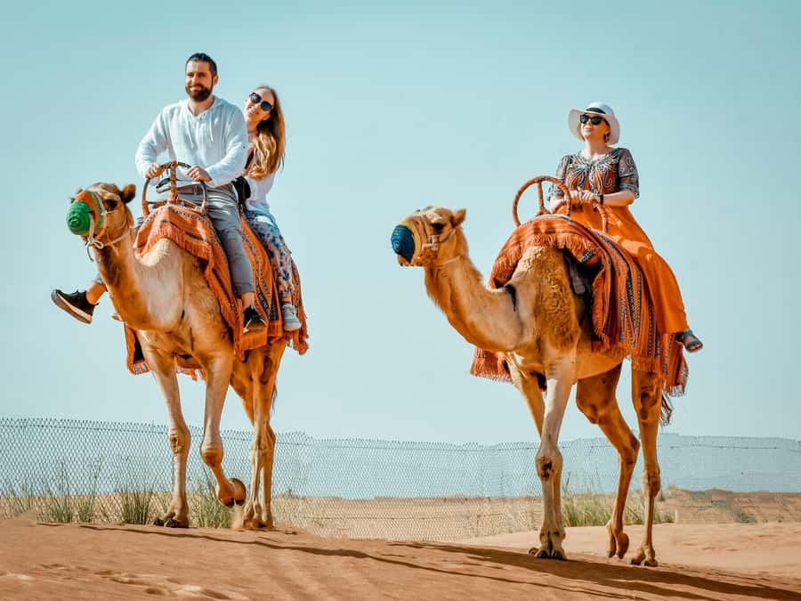 Dubai: Premium Red Dune Safari with Sandboarding & BBQ - The 40-minute dune-bashing ride