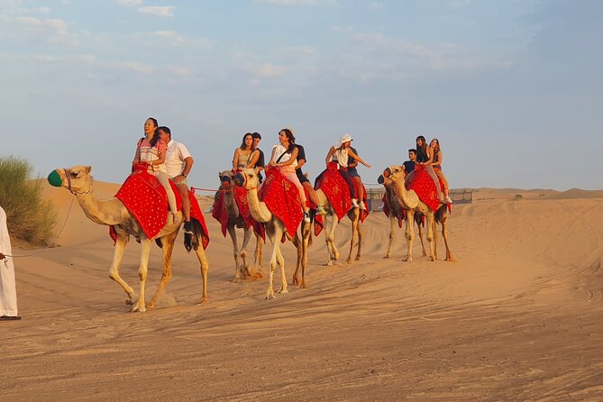 Dubai Premium Red Dunes Safari Camel Ride and BBQ Dinner - Arabic coffee, dates, and camp activities in Al Awir