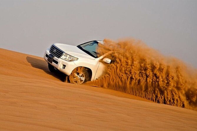 Dubai Premium Red Dunes Safari Camel Ride and BBQ Dinner - Camel rides, falcons, and the first desert stop