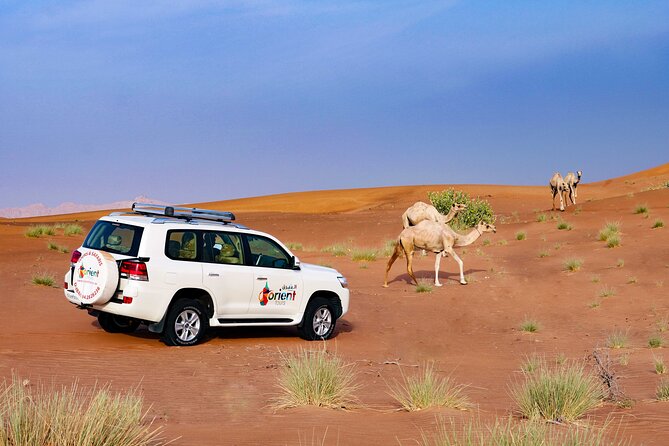 Dubai Private Premium Desert Safari with BBQ Dinner in 4WD - What the $126 price really covers