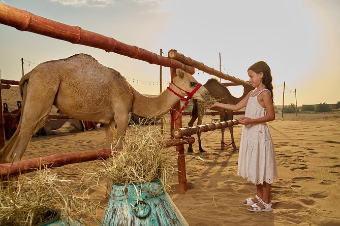 Dubai Private VIP Desert Dinner and Live Entertainment Show - Is $207.37 per person good value?