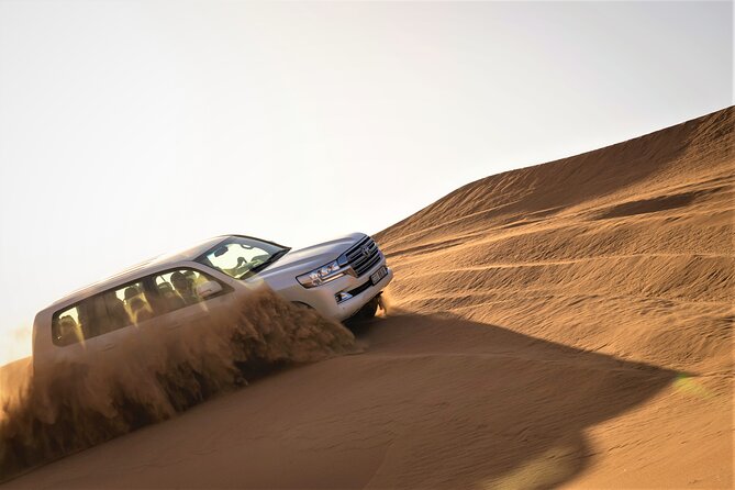 Dubai Red Dunes with Sandboarding, Camel Ride, Falcon & VIP Camp - Key points to know before booking