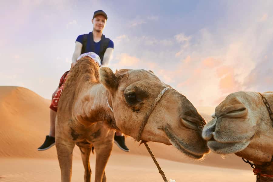 Dubai Waves & Dunes: Luxury Yacht Cruise w/ Red Dunes Safari - What the yacht views add