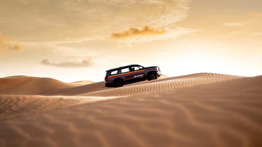 Dubai Waves & Dunes: Luxury Yacht Cruise w/ Red Dunes Safari - Who will get the most from this tour