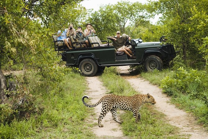 Durban: Big 5 Safari - Open Safari Vehicle at Exclusive Reserve - What happens inside Manyoni Private Game Reserve