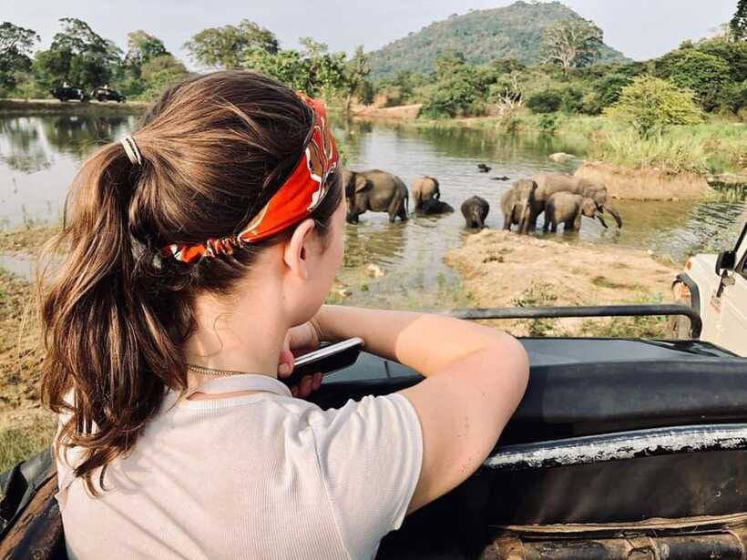 Elephant Kingdom Safari – Minneriya National Park - When the guide recommends Kaudulla instead