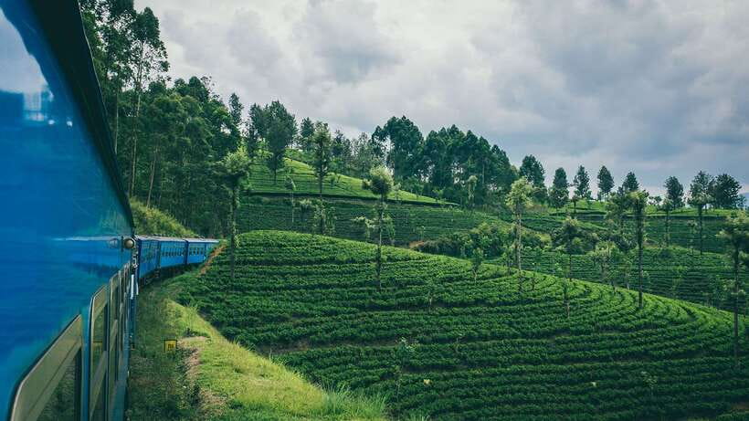 Ella: First Class Scenic Train Ticket To/From Nanuoya - What the five-hour journey feels like