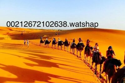 Enjoy 3 Days luxury camp Sandboard from Fes back fes,ou Marakech