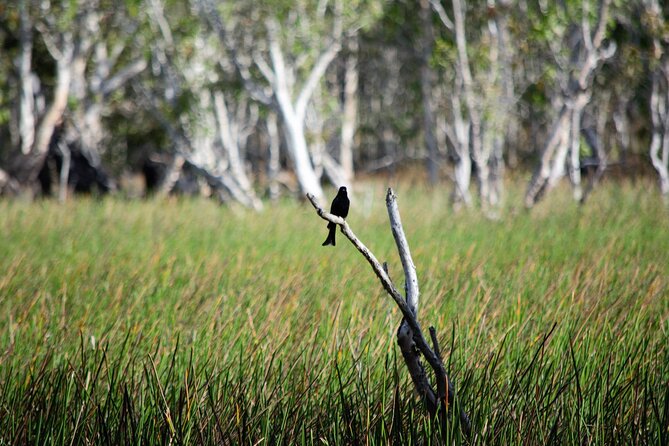 ETHICAL ADVENTURES - 1 Day premium Litchfield tour, small group - Starting early from Darwin