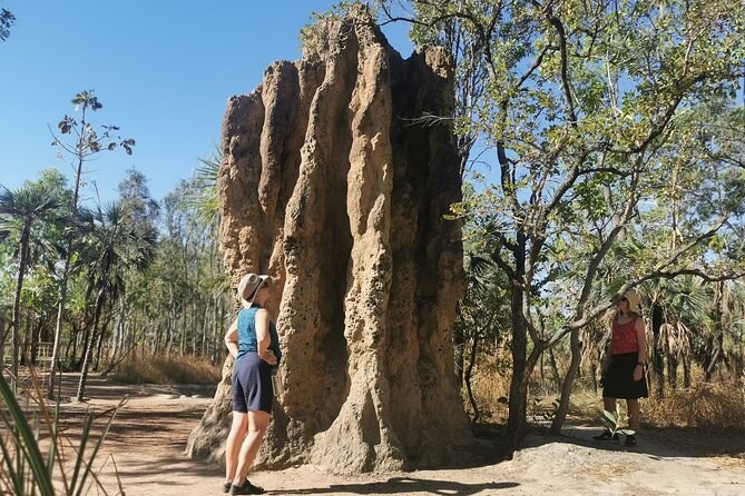 ETHICAL ADVENTURES - 1 Day premium Litchfield tour, small group - Batchelor adds a human side to the day