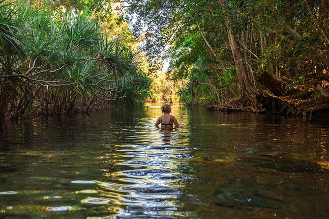 ETHICAL ADVENTURES - 1 Day premium Litchfield tour, small group - Berry Springs from May to September