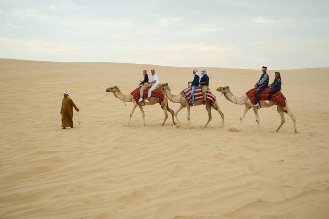 Evening Desert Safari Tour with Sand Surfing, BBQ Dinner (Exclusive Car) - Quick facts about this private Dubai safari