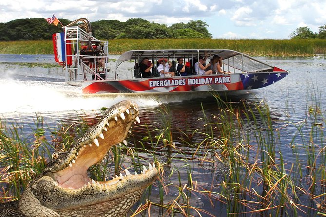 Everglades VIP Airboat Tour with Transportation Included - The alligator show needs a careful explanation