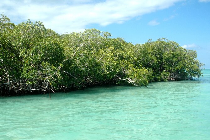 Exclusive Adventure in Saona: Small Group - Why this Saona trip feels different