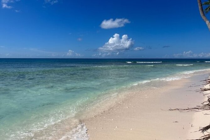 Exclusive Adventure in Saona: Small Group - The natural pool and giant starfish