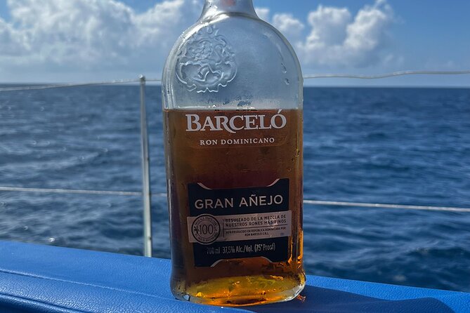 Exclusive Adventure in Saona: Small Group - A closer look at the speedboat experience