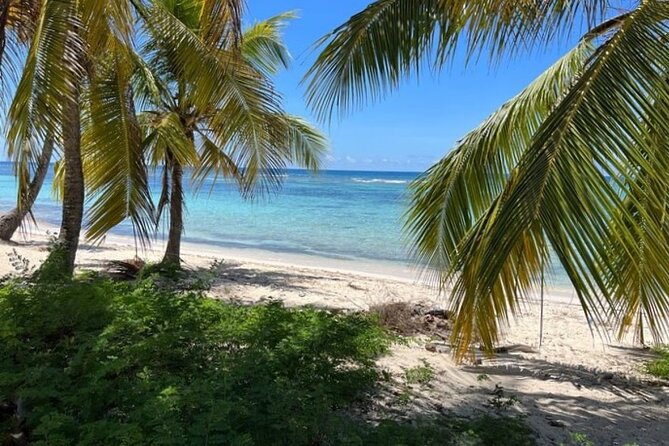 Exclusive Adventure in Saona: Small Group - Starting in Bayahibe and heading into the park