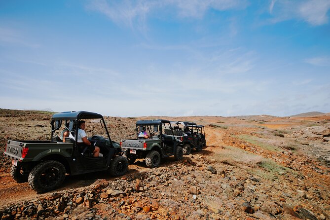 Exclusive Aruba UTV Tours - Andicuri Beach and Shark Bay