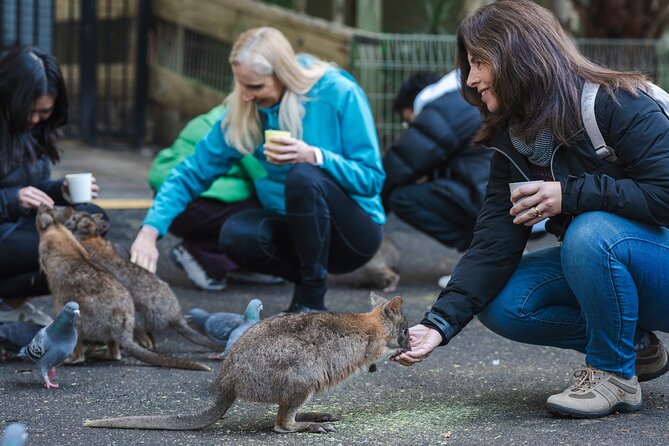 Exclusive Blue Mountains Wildlife and Bushwalk Tour From Sydney - Why this day trip works from Sydney
