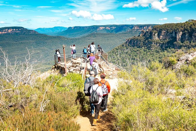 Exclusive Blue Mountains Wildlife and Bushwalk Tour From Sydney - What the guides add to the day