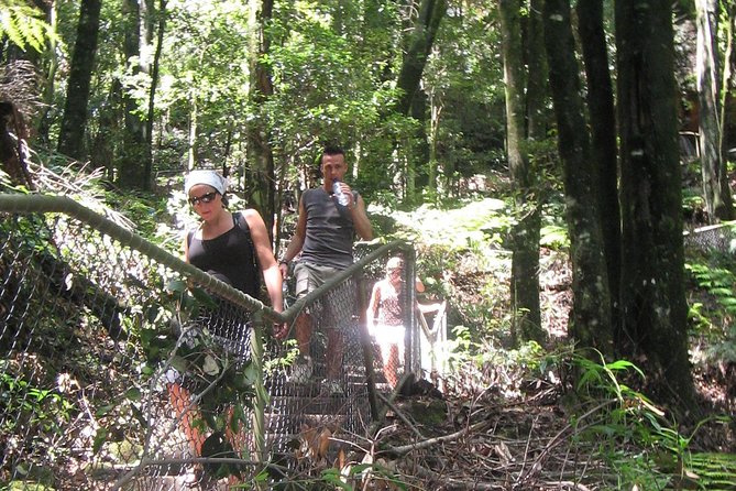 Exclusive Blue Mountains Wildlife and Bushwalk Tour From Sydney - Is $135.56 good value?