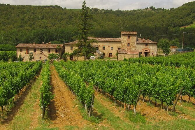 Exclusive Chianti Classico Day Trip from Florence - Savignola near Greve: the lunch stop