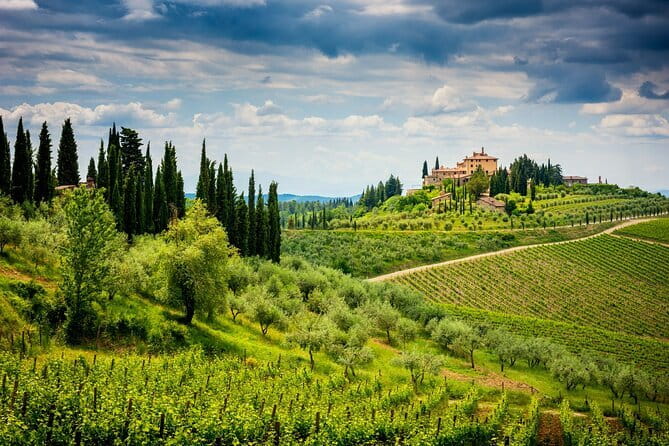 Exclusive Chianti Classico Day Trip from Florence - The price: expensive, but easier to justify for a group