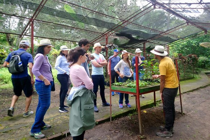 Exclusive Coffee Experience:Tour from Bogotá - Walking through Hacienda Coloma’s coffee process