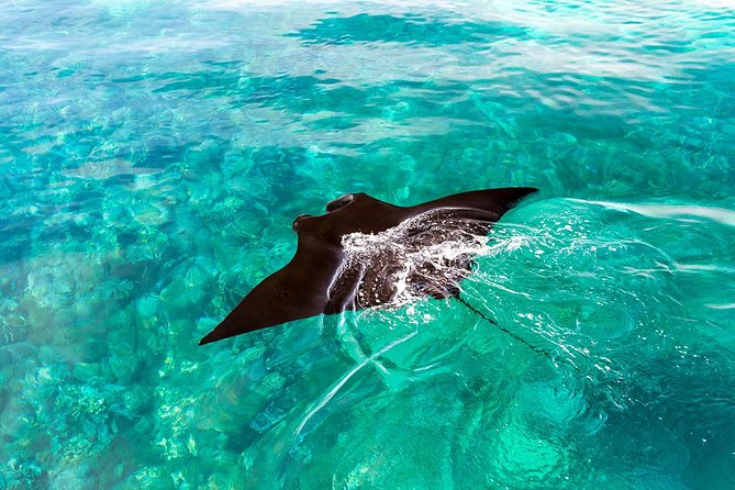 Exclusive Early Bird Komodo Tour: Beat the Crowds by Speed Boat - Padar Island: the day’s hardest climb