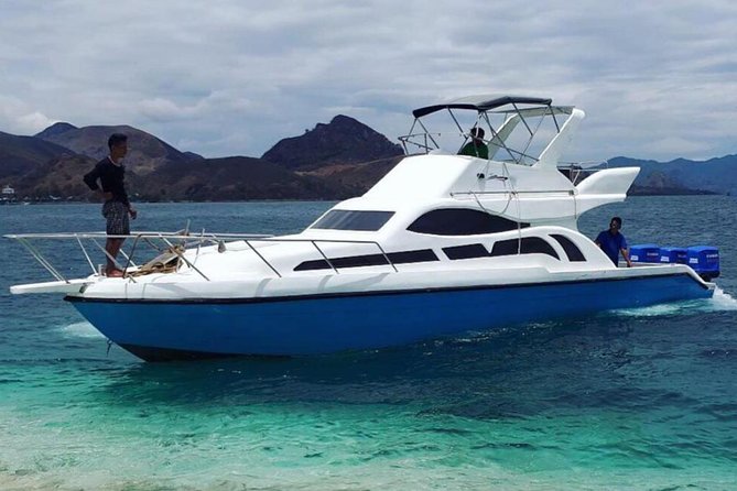 Exclusive Early Bird Komodo Tour: Beat the Crowds by Speed Boat - Manta Point: wildlife, not a guarantee