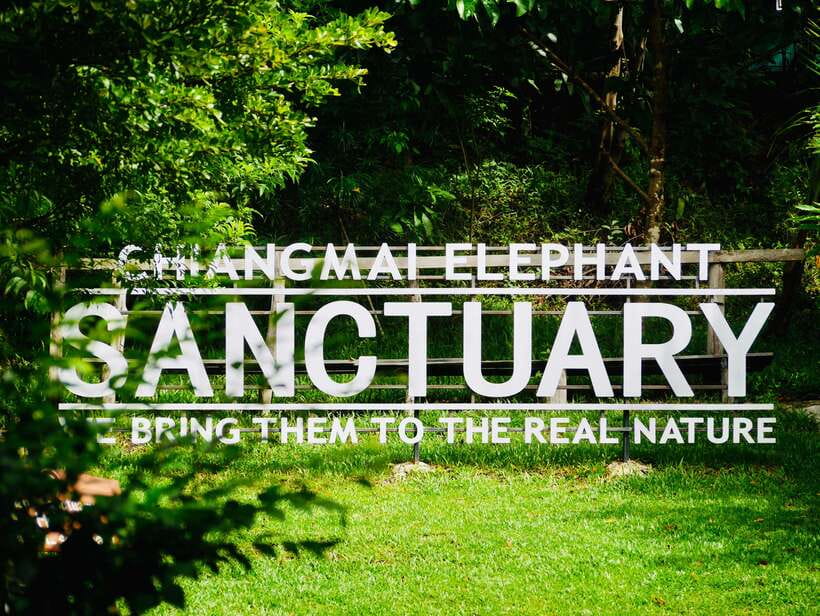 Exclusive experience half day with family giant animals - Meeting the elephants in Chiang Mai Province