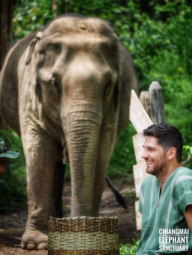 Exclusive experience half day with family giant animals - Walking beside the herd