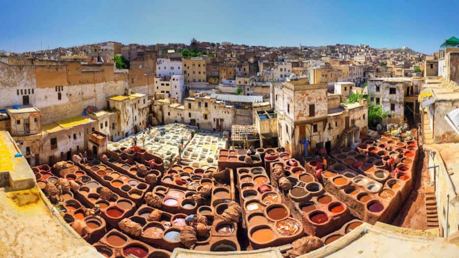Exclusive Fez Medina Walking Tour with a local Guide - Al-Qarawiyyin and the story of learning